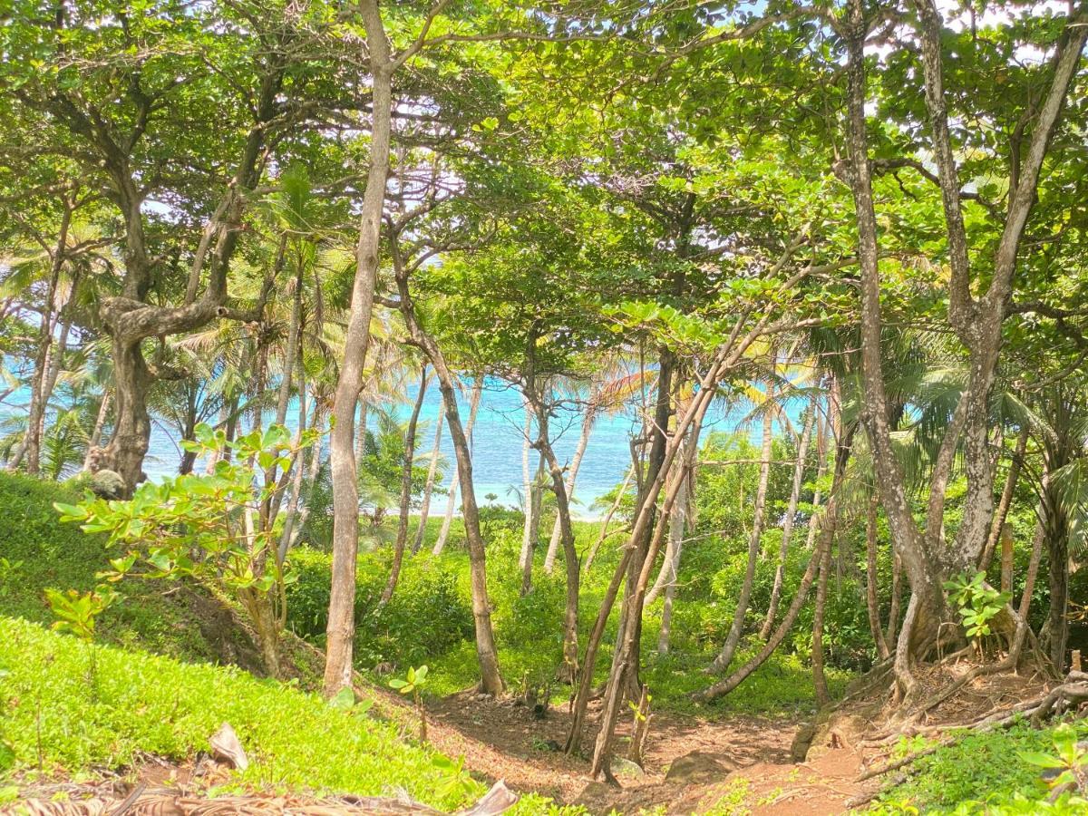 Las Palmeras Oceanview Hotel And Dive Center Little Corn Island Exterior foto