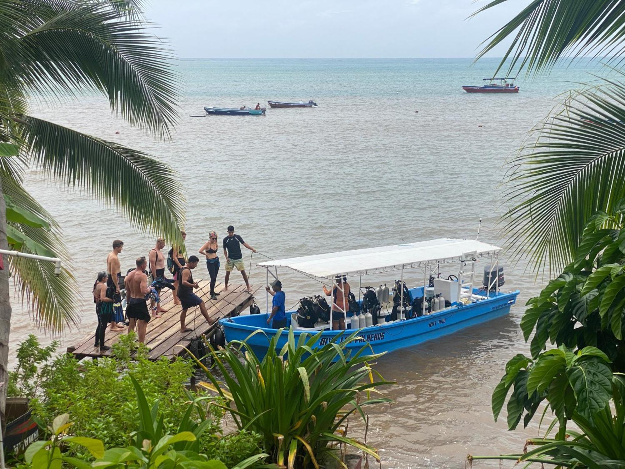 Las Palmeras Oceanview Hotel And Dive Center Little Corn Island Exterior foto